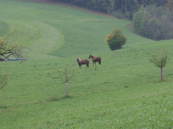 PA063653