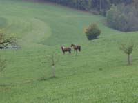 PA063653