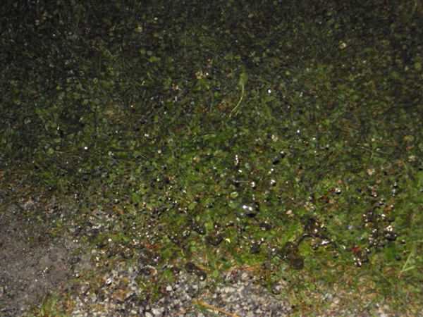 DSC00064