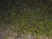 DSC00064