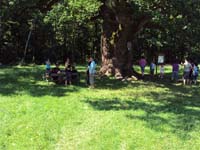 DSC00084