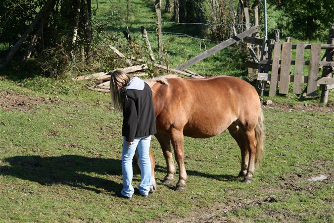FSK Wandertag 2009 035