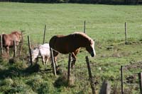 FSK Wandertag 2009 027